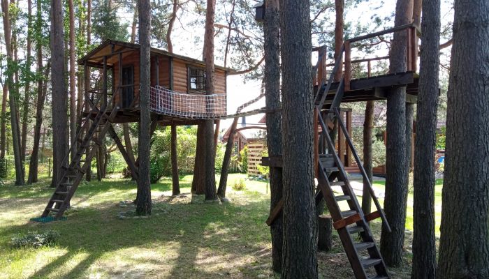 Проект "Громово"